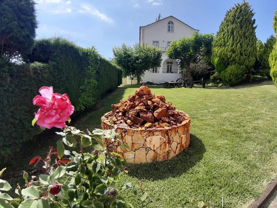 Hotel Quinta Do Viso Miranda do Corvo Eksteriør billede